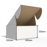 Изображение 2781.jpg